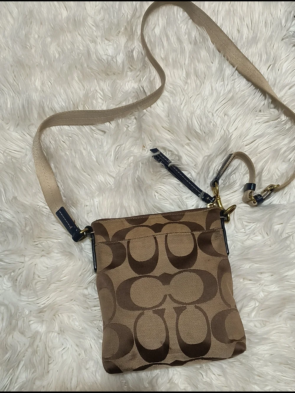 Coach Signature Canvas Crossbody Bag in Brown
